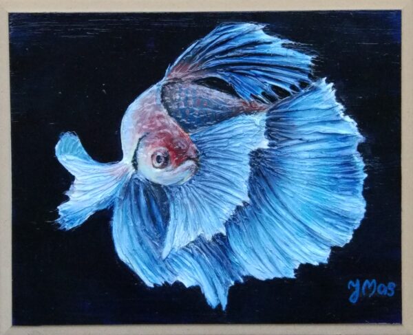 Pesce betta