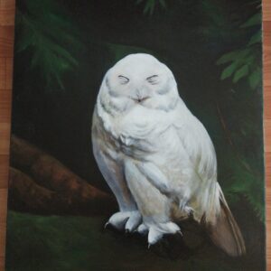 Animali