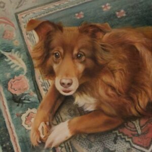 Ritratto su commissione di cane - Terry