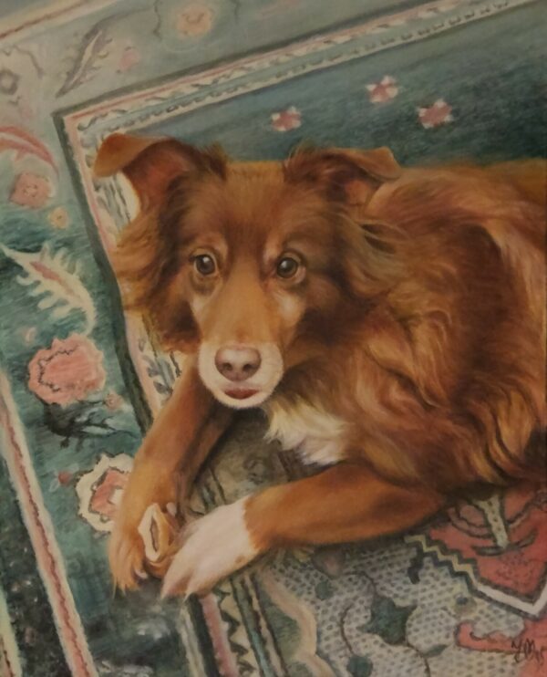 Ritratto su commissione di cane - Terry