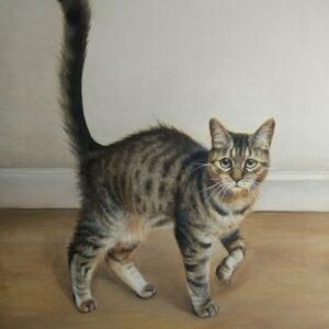 Ritratto su commissione di gatto - Patatino