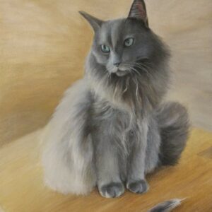 Ritratto su commissione di gatto - Tommy