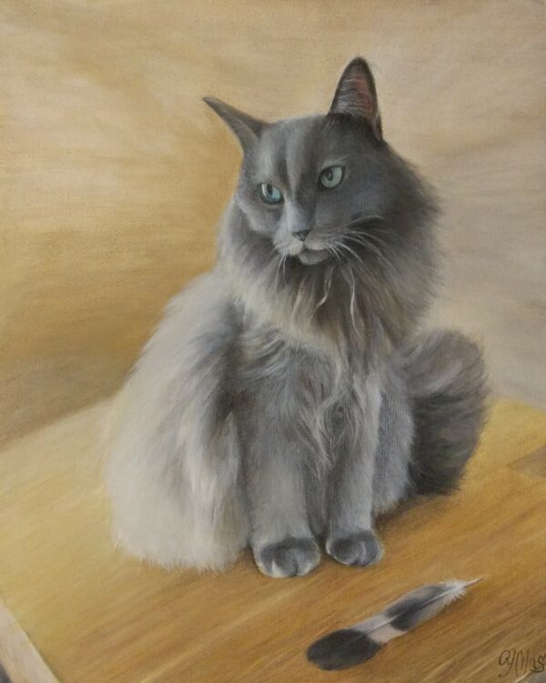 Ritratto su commissione di gatto - Tommy