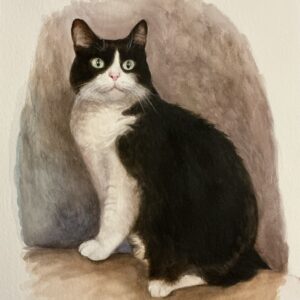 Ritratto su commissione di gatto - Lulù